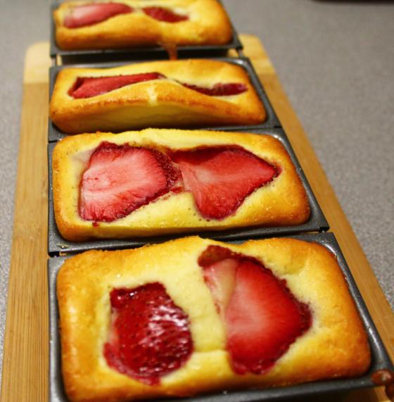 857111_417518675007009_1320369398_o