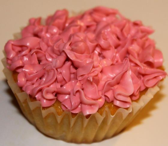 881954_423057934453083_1080954981_o