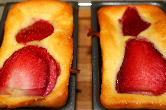 883666_417517768340433_1567089791_o