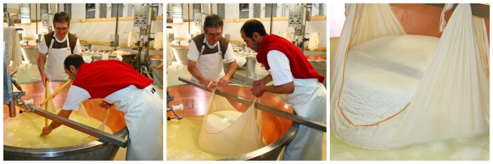 Cheese Factory Collage 2